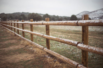 snow fence in nature