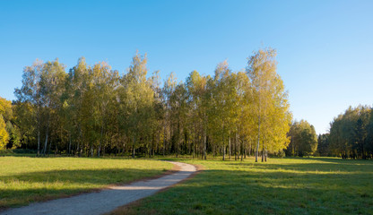 Autumn landscape in the park Alexandria. Belaya Tserkov, Kyiv region of Ukraine.