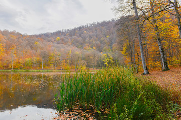 Colorful autumn landscape with lake. Armenia