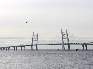 Seascape with cable-stayed bridge