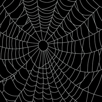 Cobweb, isolated on black background. Spiderweb pattern for Halloween design.
