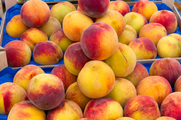 Delicious peaches on the market of Catania in Sicily