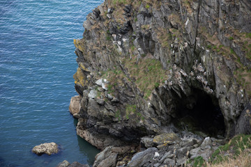 A sea cave on the coast of Ireland