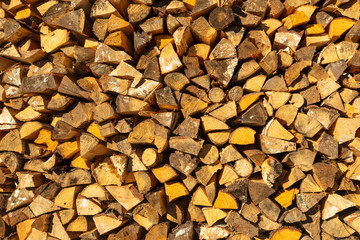 Texture - wood pile of pine wood