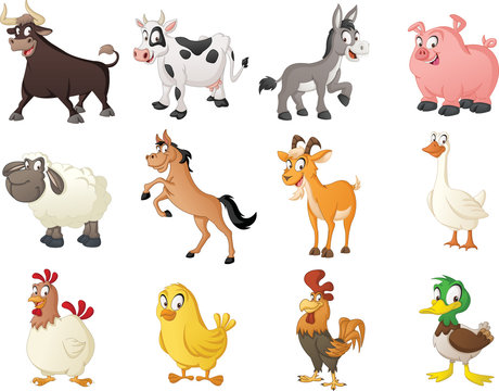 Group of farm cartoon animals. Vector illustration of funny happy animals.
