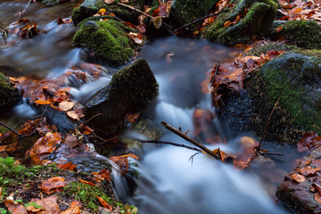 Magical forest waters with wide angle long exposure capture, also available in autumn