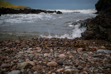 rocks on the beach