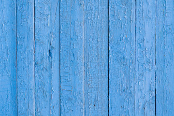 Fototapeta na wymiar Old wood plank with cracked blue paint background texture