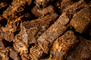 peat, closeup of a stock