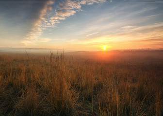 Sunrise in the field