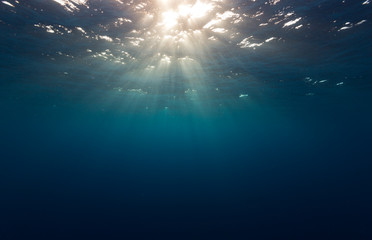 Fototapeta na wymiar Underwater sunlight scene