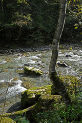 die breitach am  breitachklamm-ausgang