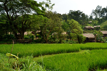 Maisons locales au village de Long Neck, Thaïlande du Nord