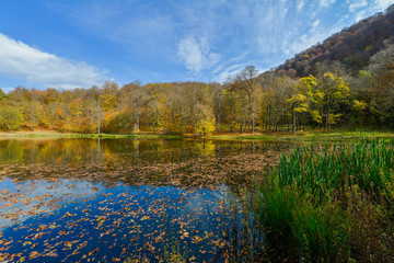 Colorful autumn landscape with lake. Armenia