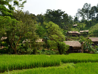 Plakat Maisons locales au village de Long Neck, Thaïlande du Nord