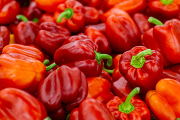 Obraz na płótnie Canvas lots of red peppers