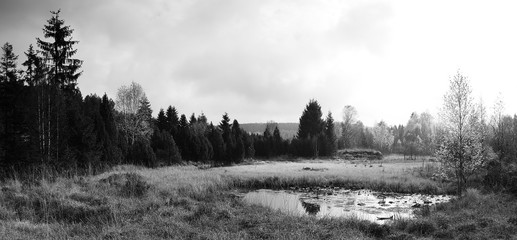 Landscape in Schwarzwassetal in german Ore mountains  on 20th october 2018