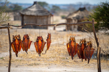 Verkauf von getrocknetem Fisch aus dem Kavango, Rundu, Namibia