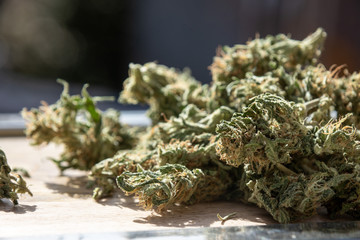 Close up Homegrown Marijuana Buds. Cannabis Flowers with Copy Space.