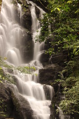 Obraz premium Forest waterfall with blurred motion