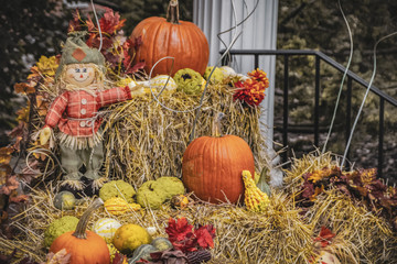 fall decorations warm
