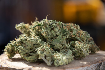 Macro Homegrown Marijuana Buds. Close up Cannabis Flowers on Wood Plate with Copy Space.