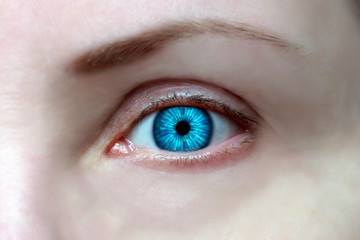 wide open eyes, bright blue iris, look ahead
