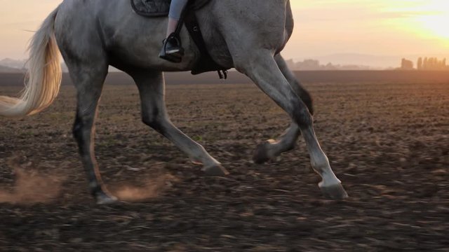 Close-up of girl legs riding on a horse on the field during sunset, slow motion