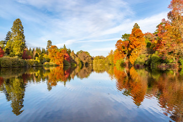 Reflections of autumnal trees in a lake, on a sunny autumn day