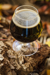 Glass of beer in autumn forest