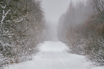 Fabulous magic fairy tale winter forest. Beautiful picturesque wintertime wild nature landscape....