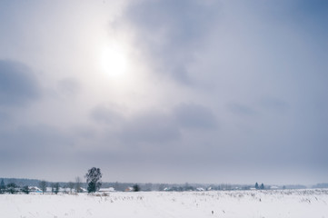 Fabulous magic fairy tale winter forest. Beautiful picturesque wintertime wild nature landscape....