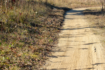 Mountain Bike Trail Tracks