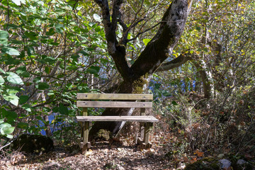 Naklejka premium Kovada Lake National Park - Isparta