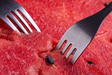 forks stuck in a watermelon © SOLDATOOFF