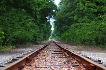 railway in the forest