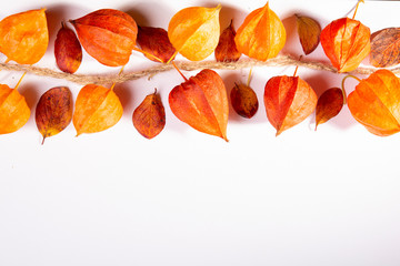 Physalis and autumn leaves on the white backgroun