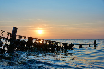 Silhouette of a metal structure with plastic waste and seaweed in front of the sea and sunset
