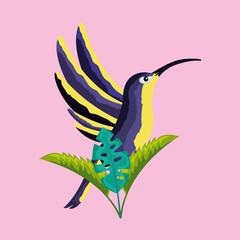 tropical natural leaves