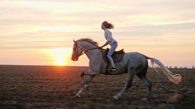 Young blonde girl riding on a horse on the field during sunset, slow motion