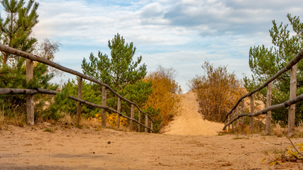 Empty pathway with fence to the wild beach on a cloudy autumn day in Gdansk Stogi. - obrazy, fototapety, plakaty