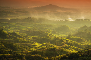 Foggy landscape in Buenavista, Quindio, Colombia, South America