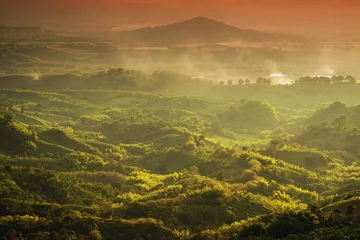 Fototapeten Foggy landscape in Buenavista, Quindio, Colombia, South America © Rechitan Sorin