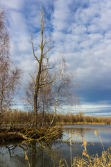 Beautiful view near Niederpoering-Isar-Bavaria-Germany