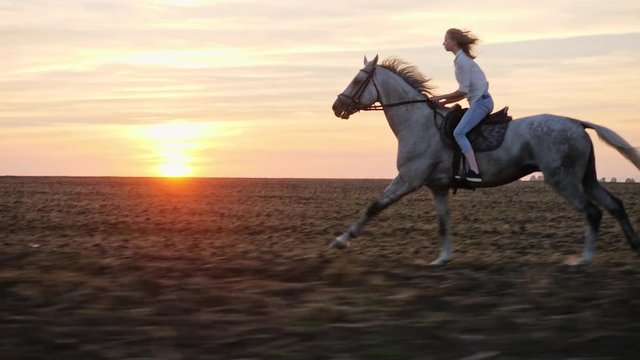 Young blonde girl riding on a horse on the field during sunset, slow motion