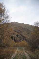 Fototapeta premium autumn in the mountains