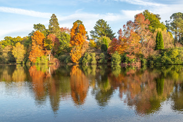 Colourful trees and their reflections in a lake, on a sunny autumn day