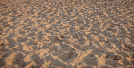 closeup of sand of a beach , close up view beach sand background