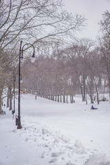 Beautiful winter landscape, snow covered alley and sliding children. Snow is snowing quietly.