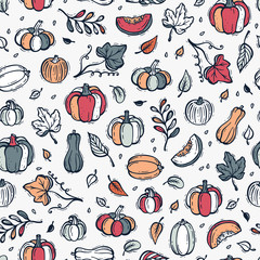 Vegetables Vector Background. Different Varieties of Pumpkins and Leaves Seamless Pattern. Autumn Harvest Symbols. Hand Drawn Doodle Pumpkin and leaf. Thanksgiving Day
